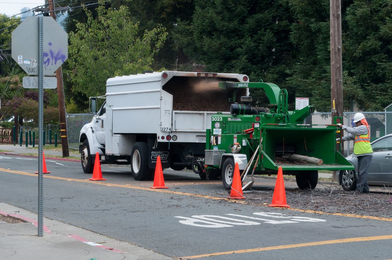 Tree crew feeding branches into a wood chipper beside a truck on a residential street